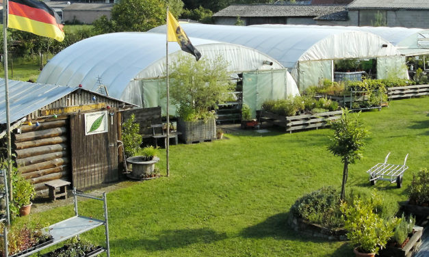 Pflanzenflohmarkt auf Spendenbasis bei Kräuter Gerda