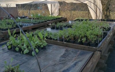 Saisonstart 2026 – Endlich ist es soweit…